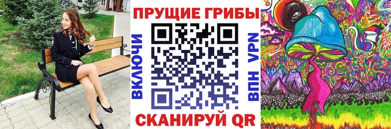 Купить где  Октябрьский  Псилоцибиновые грибы Psilocybe 